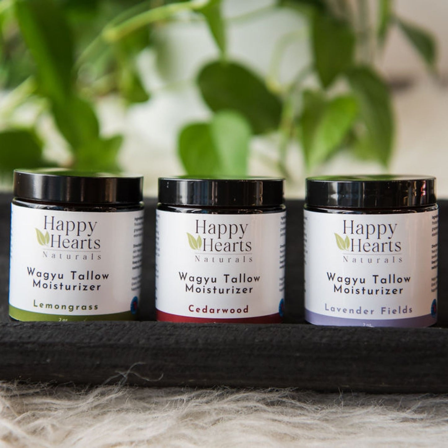 Wagyu Tallow Moisturizer