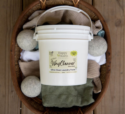 WayCleaner Ultra Clean Colloidal Silver Laundry Paste