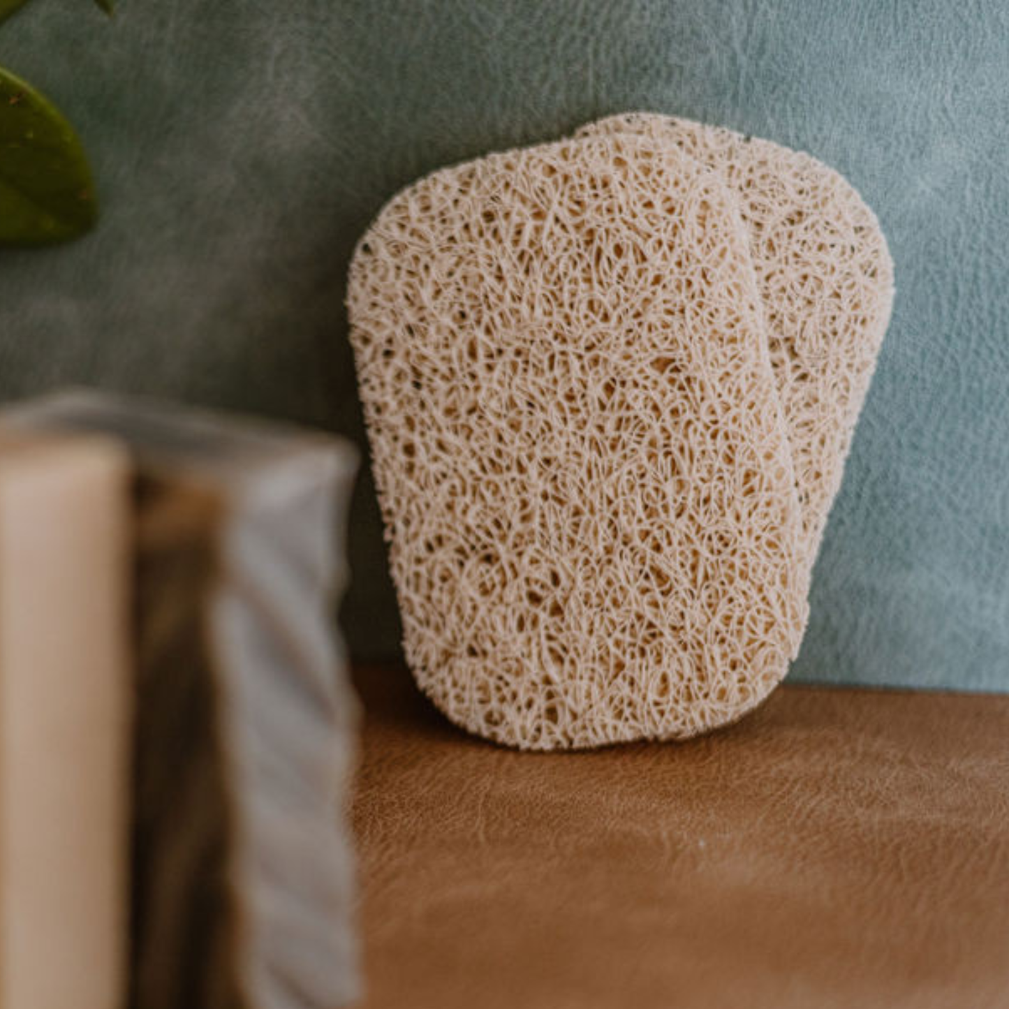 Soap Saver